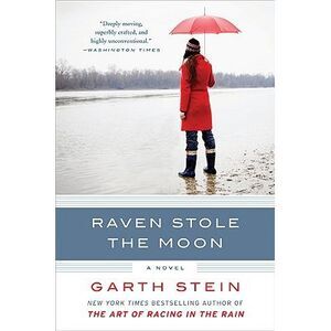 Raven Stole the Moon -- Garth Stein